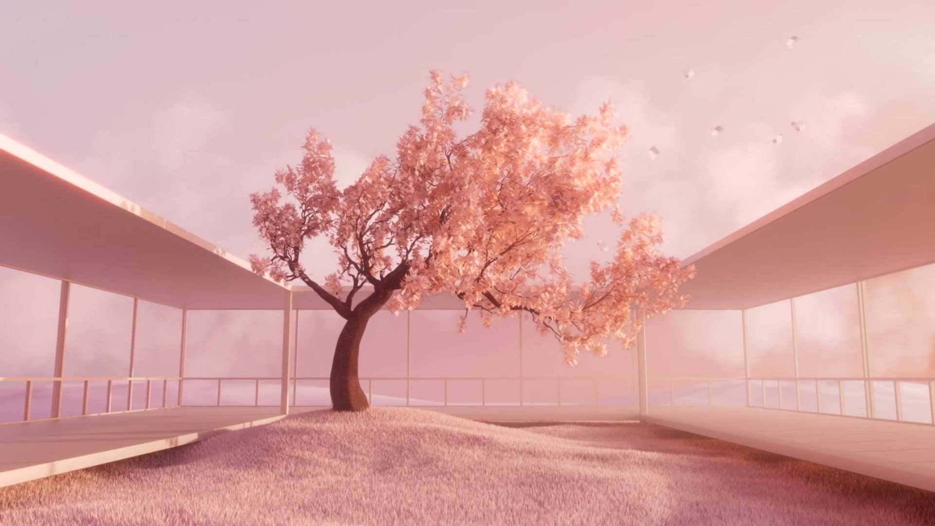 Moooi Perch Light brand film by Seungpyo Han | STASH MAGAZINE