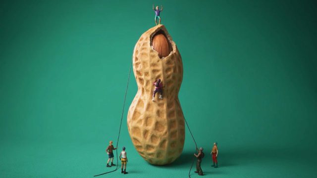 Five miniature figurines appear to climb a large peanut shell labeled "Not To Scale" using ropes. One figure on top cheers as others support or climb, all set against a plain green background—a fun nod to the National Peanut Board’s Peanuts Not Nuts campaign. Frame from Stash Magazine article.