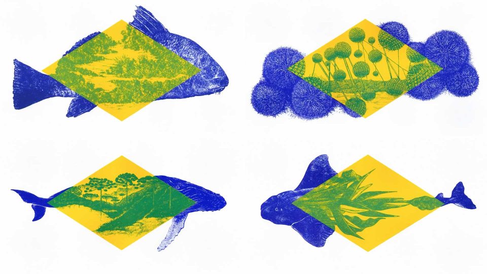 Four blue fish illustrations, each with a yellow diamond and green shapes inside, depict unique landscapes and evoke the spirit of the Brazilian flag—echoing the message of "No Blue No Green" for ocean conservation. Frame from Stash Magazine article.