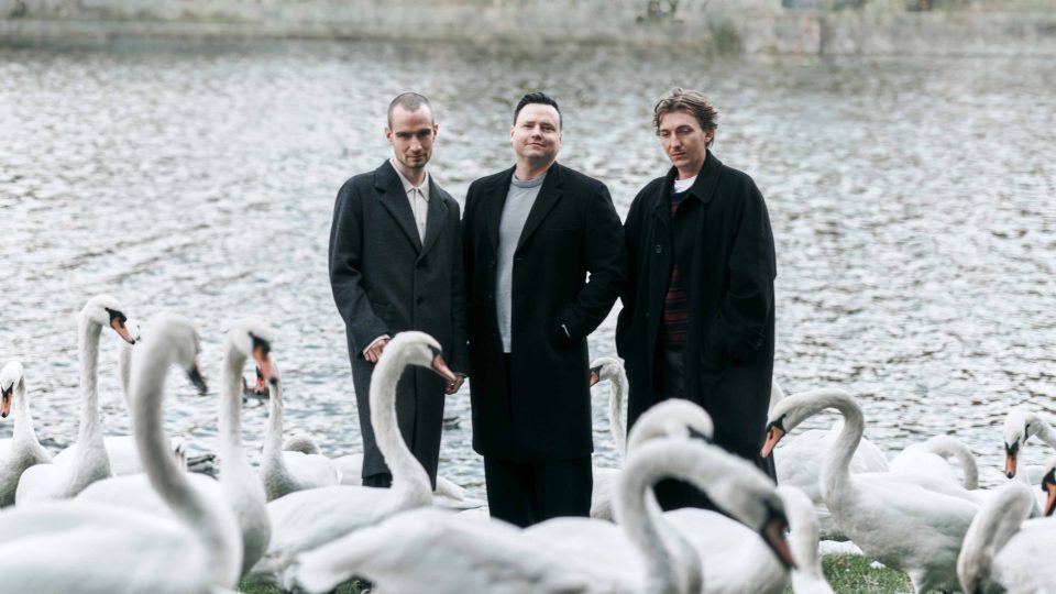 Three Pathos Ad Agency founders in dark overcoats standing in front of a lake filled with swans. Frame from Stash Magazine article.
