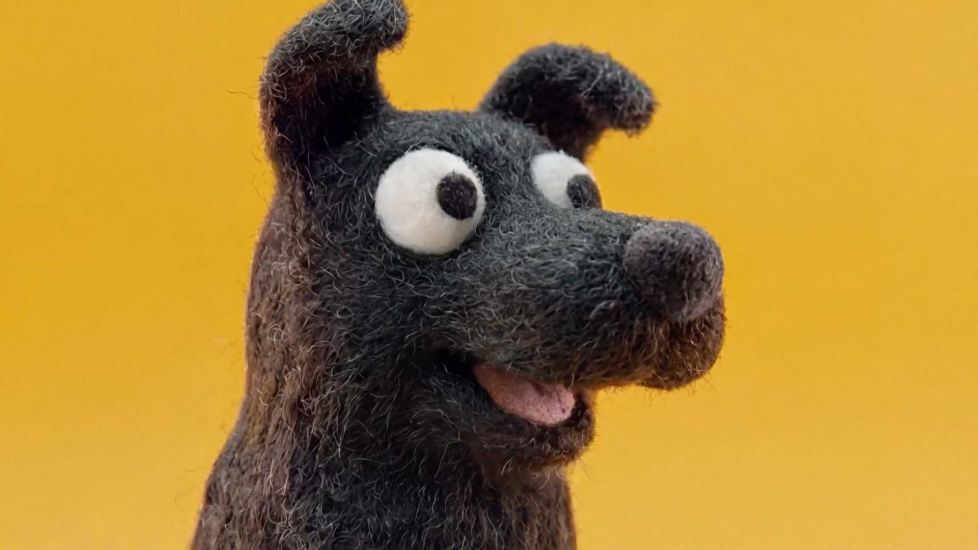 A dark gray felt dog figure with wide, white eyes against a yellow Petbarn background. Frame from Stash Magazine article.