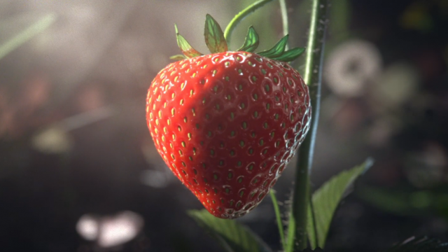 Beware the Great White Shark of Strawberries