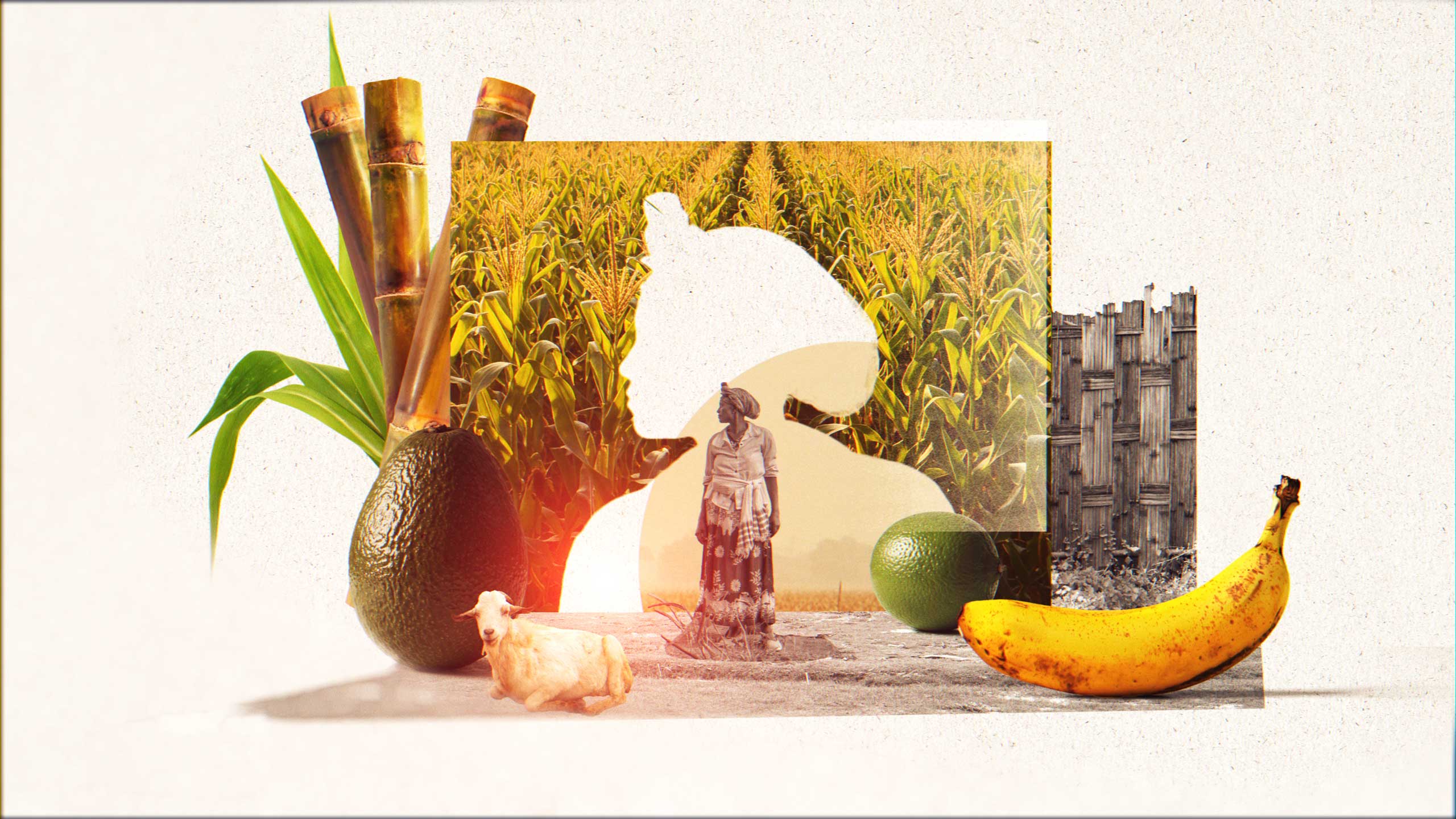 Project Dandelion India Ethiopia films by Ariel Costa & NOMINT | STASH MAGAZINE