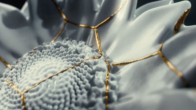 Project Unbroken The Beauty of Broken Alex Levinton & Ariel Danziger | STASH MAGAZINE