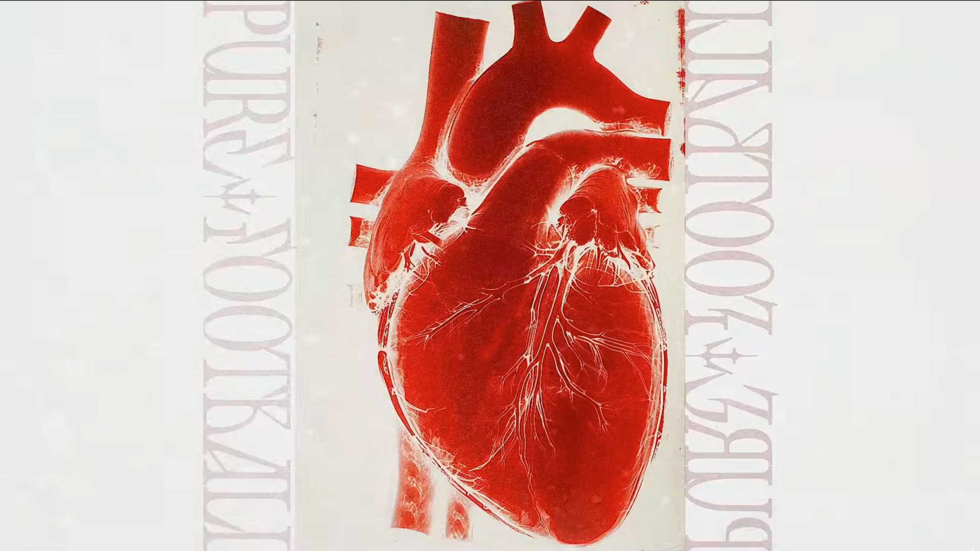 A detailed, red anatomical illustration of a human heart is centered on a light background. Faint, mirrored text reading PURRZKOOTBALL—echoing the spirit of Pure Football—appears along the left and right edges of the image.