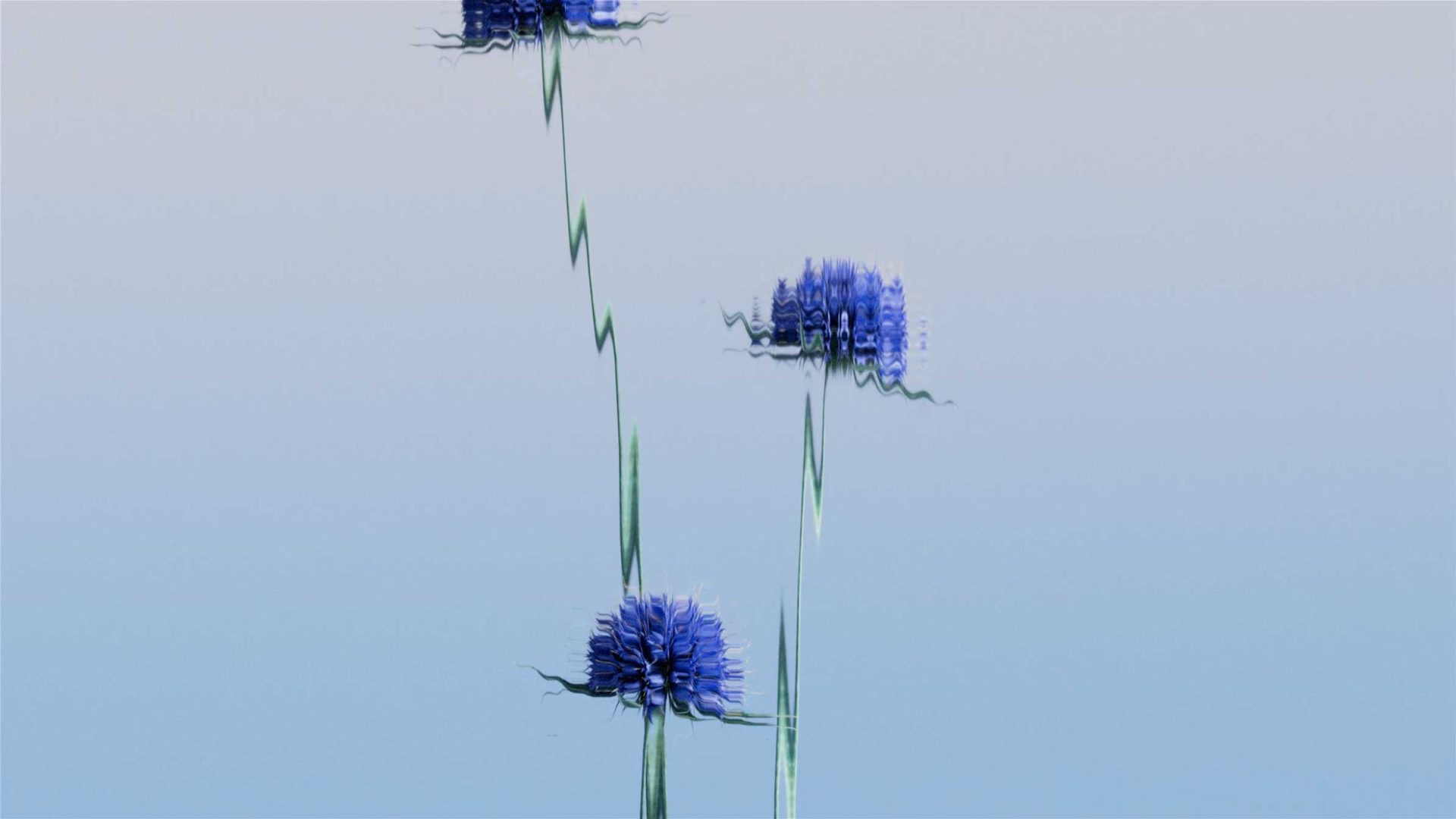 Refracted short film by Hup.Studio | STASH MAGAZINE