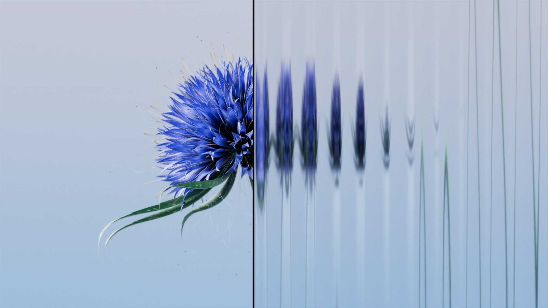 Refracted short film by Hup.Studio | STASH MAGAZINE