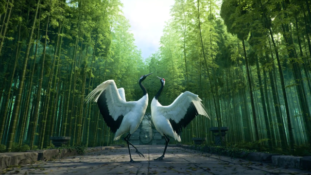 Dancing with Cranes in a Bamboo Forest