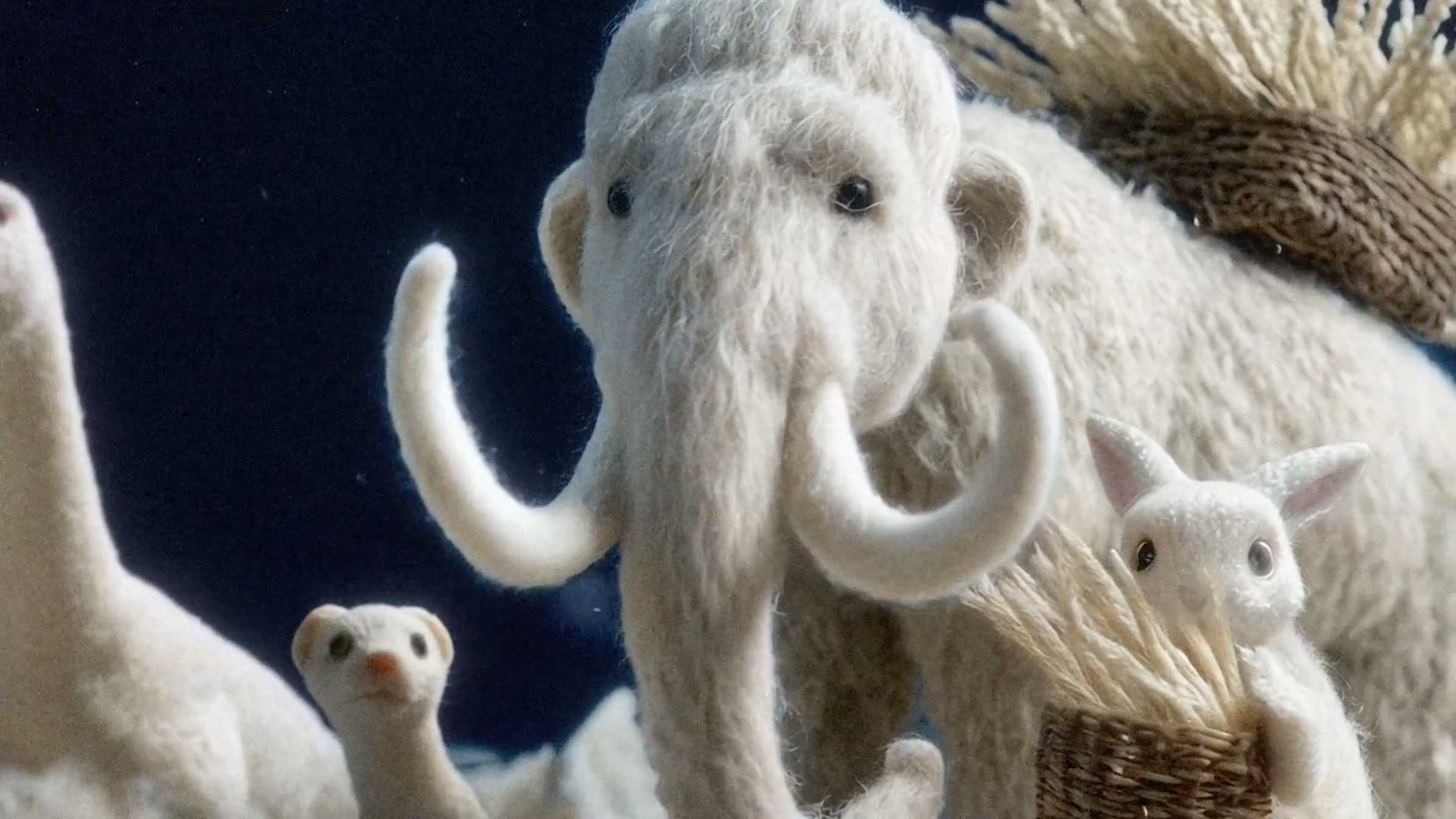 Roy Wang "The Star Shepherd" music video by Li Xuan | STASH MAGAZINE