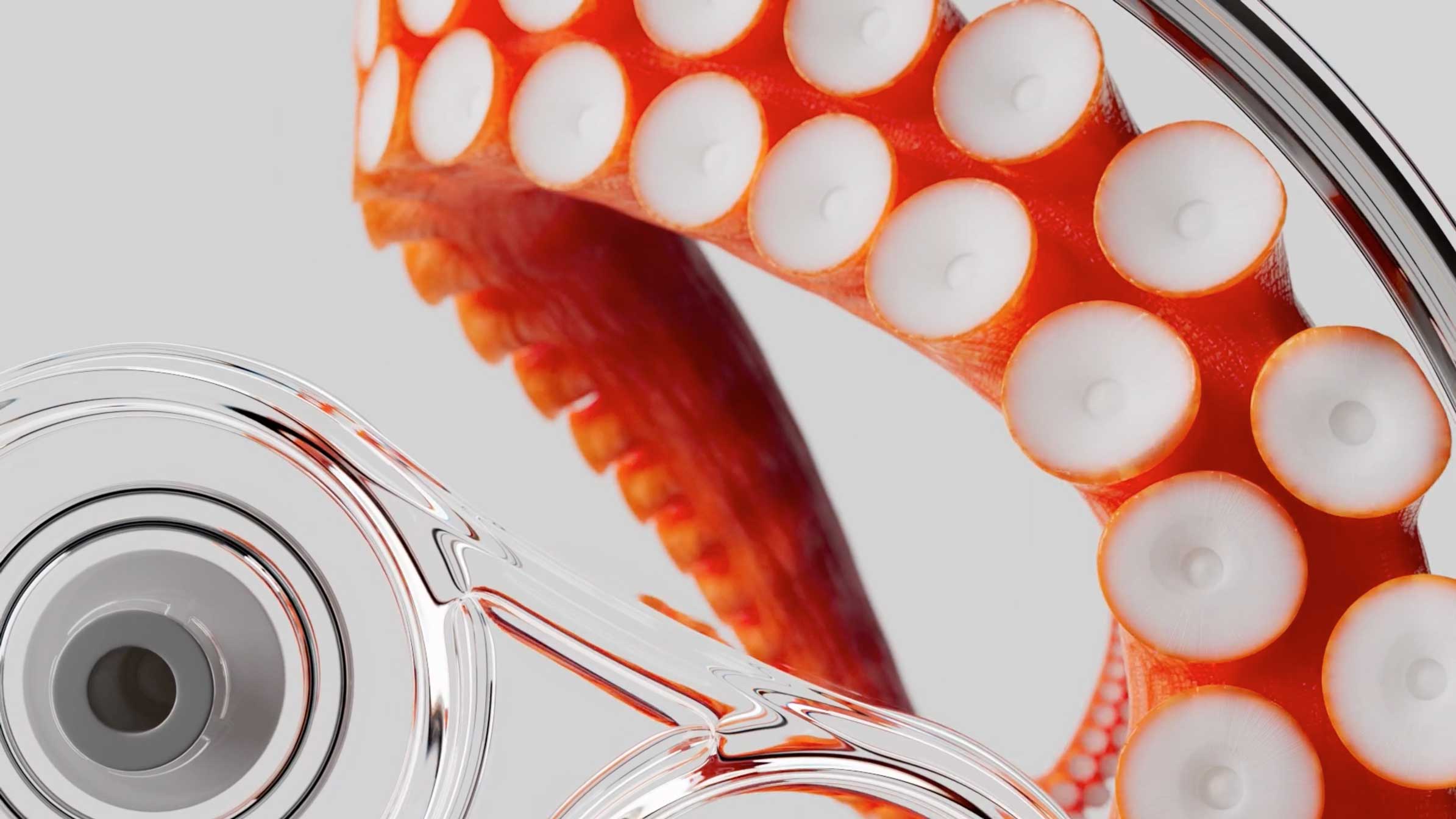 SAES B!POD Brand Films by Symbiotic | STASH MAGAZINE