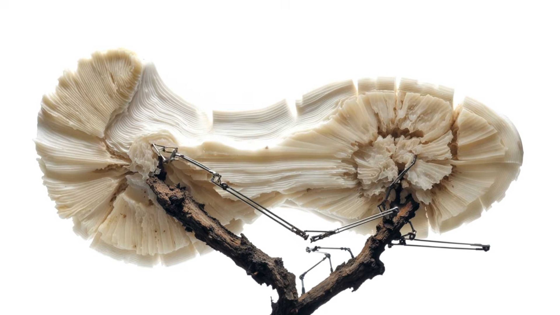 Salomon Shaping New Futures ad by Unveil & BBDO Paris | STASH MAGAZINE