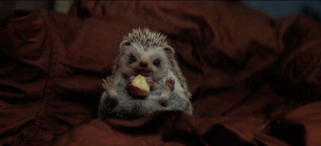 Staatsloterij New Years Lottery: Freddie the Hedgehog | STASH MAGAZINE