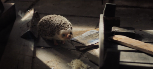 Staatsloterij New Years Lottery: Freddie the Hedgehog | STASH MAGAZINE