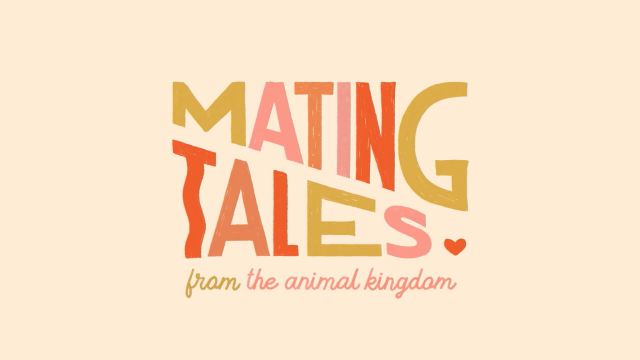 Mating Tales from the Animal Kingdom | STASH MAGAZINE