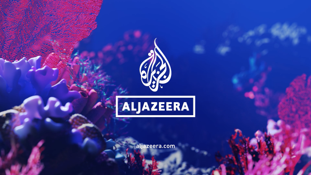 Al Jazeera Channel ID Package by The Mill