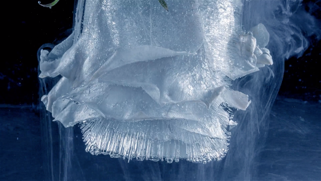 Black Ice short film by Christopher Dormoy | STASH MAGAZINE