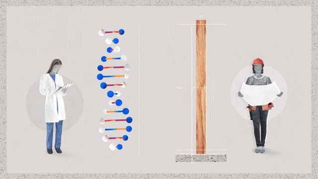 Novartis Fixing the Foundation explainer video by Yaniv Fridman | STASH MAGAZINE