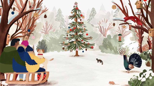 Joules A Woodland Tale by Studio AKA | STASH MAGAZINE