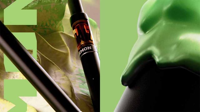 DAIZE Brand Mood Film by The Dink and Sebastian Helene | STASH MAGAZINE
