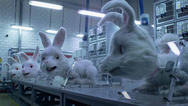 Humane Society Short Film "Save Ralph" Aims to End Animal Testing | STASH MAGAZINE