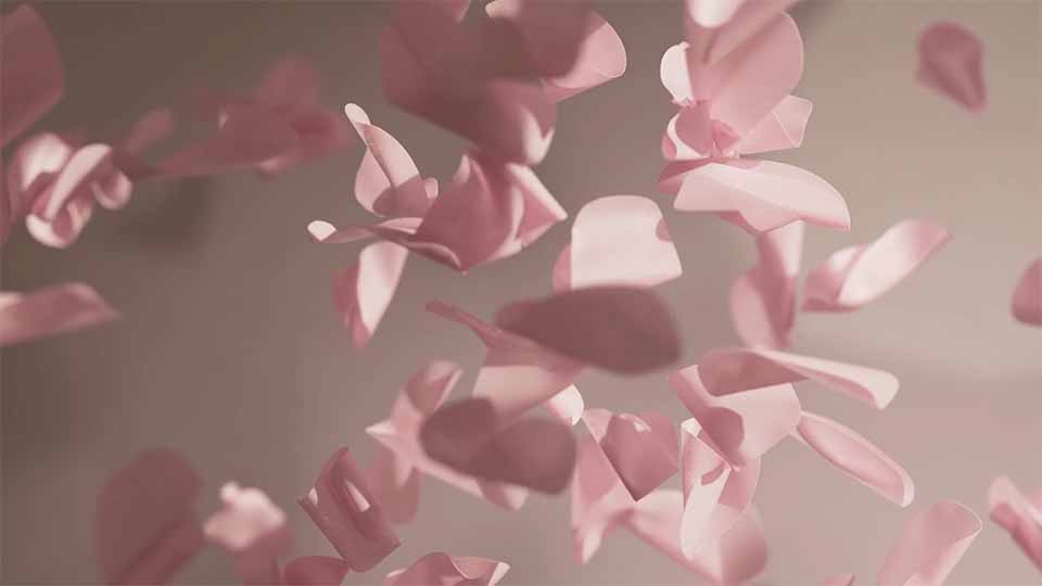 "Hortensia x Moooi" Brand Film by Reisinger Studio | STASH MAGAZINE