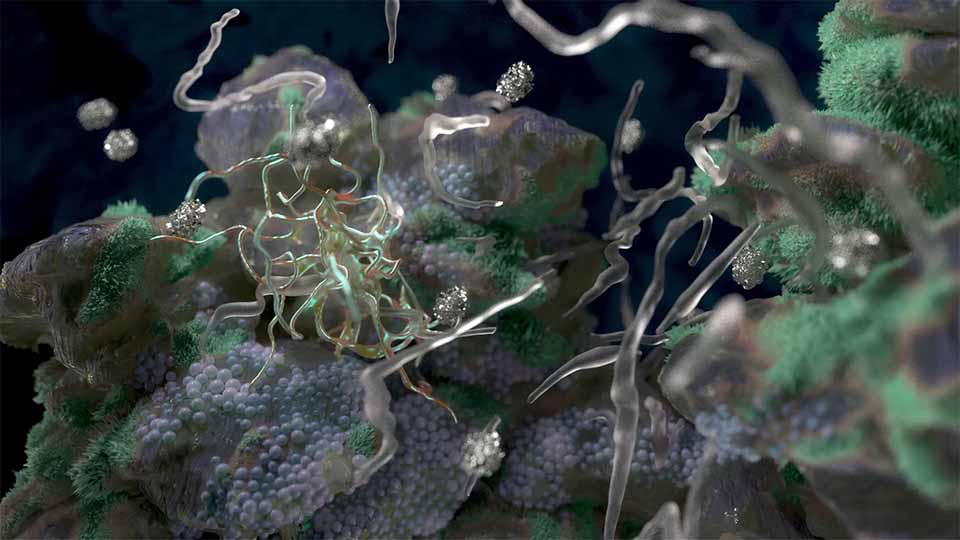 "Ziemia / Soil" Ambient Art Film by Zuzanna Kolodziej | STASH MAGAZINE