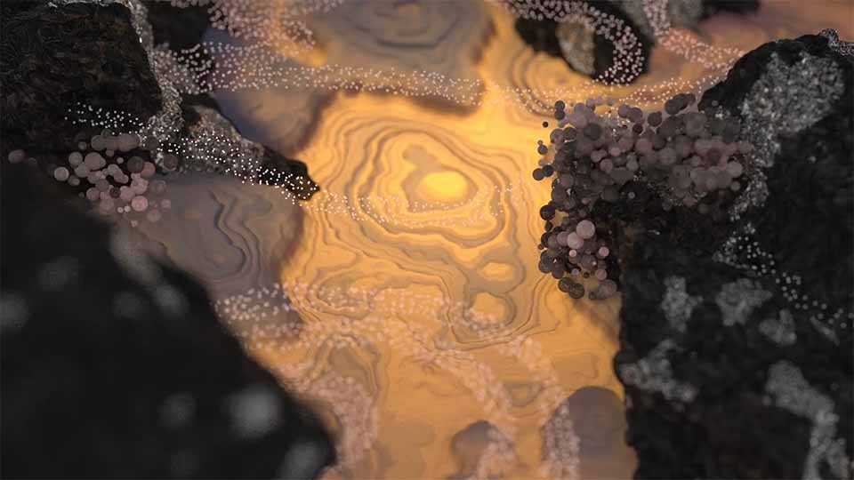 "Ziemia / Soil" Ambient Art Film by Zuzanna Kolodziej | STASH MAGAZINE