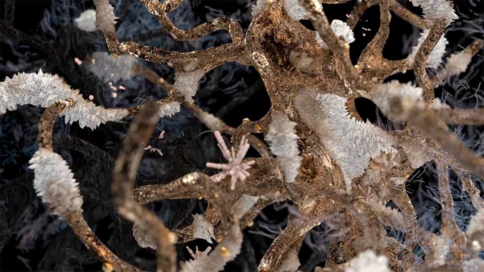 "Ziemia / Soil" Ambient Art Film by Zuzanna Kolodziej | STASH MAGAZINE
