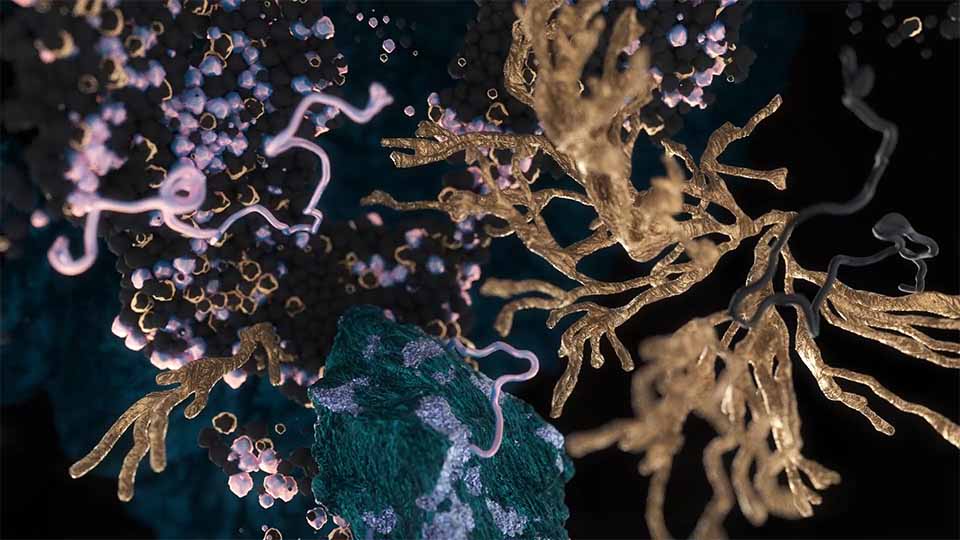 "Ziemia / Soil" Ambient Art Film by Zuzanna Kolodziej | STASH MAGAZINE