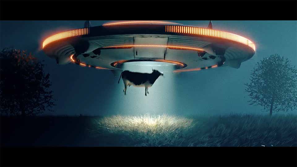 Tripwire "Daydream" Spot by Adam Littke and Camp Lucky | STASH MAGAZINE