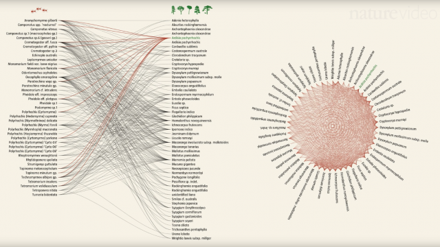 Mauro Martino "Network Earth" | STASH MAGAZINE