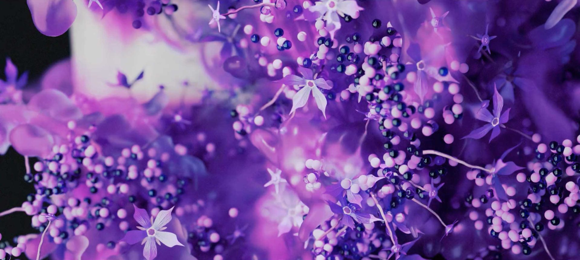 Close-up of delicate purple flowers and small round berries on branches, with a dreamy, blurred background in violet shades. The image has a soft, ethereal appearance, subtly evoking the invisible beauty of viruses captured by Dimitrios Sakkas. Frame from Stash Magazine article.