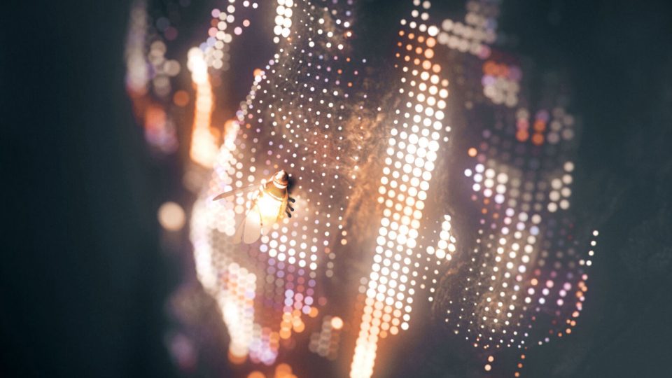 Solita "Fireflies" by Brian Williams and Ntropic | STASH MAGAZINE