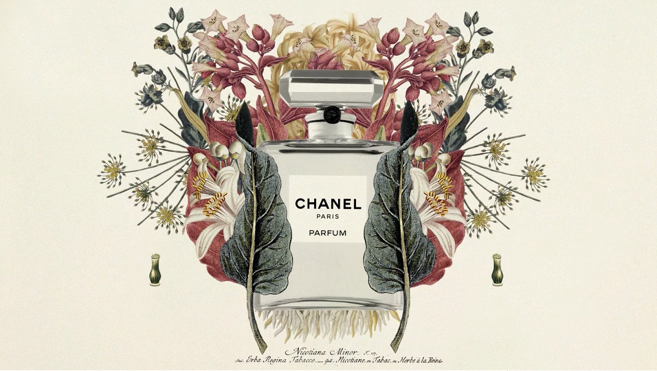 Chanel Self-Portrait of a Perfume | STASH MAGAZINE