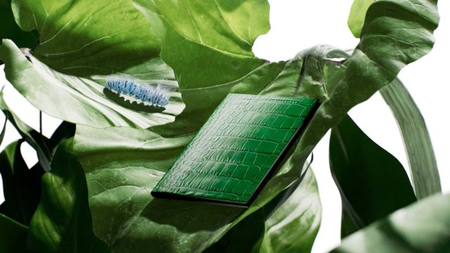 Zünc Studio Awakens the Green of Spring for Smythson