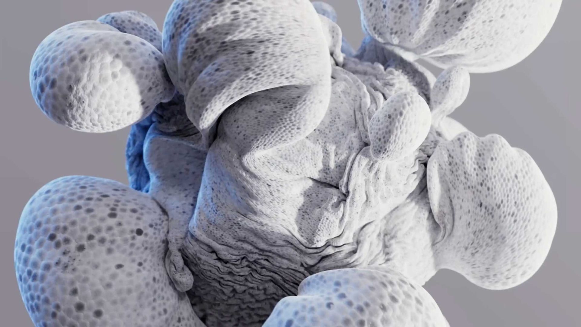 Close-up of a textured, abstract white object with curved, organic shapes and a wrinkled central area, resembling a microscopic or biological form. Frame from Stash Magazine article.