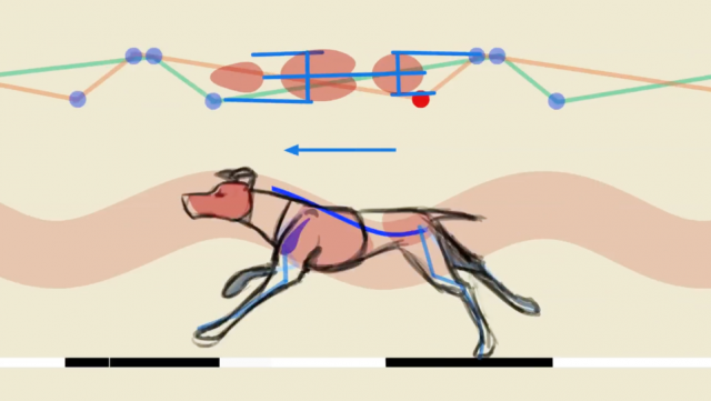 Felix Sputnik: the Secrets of Quadruped Locomotion