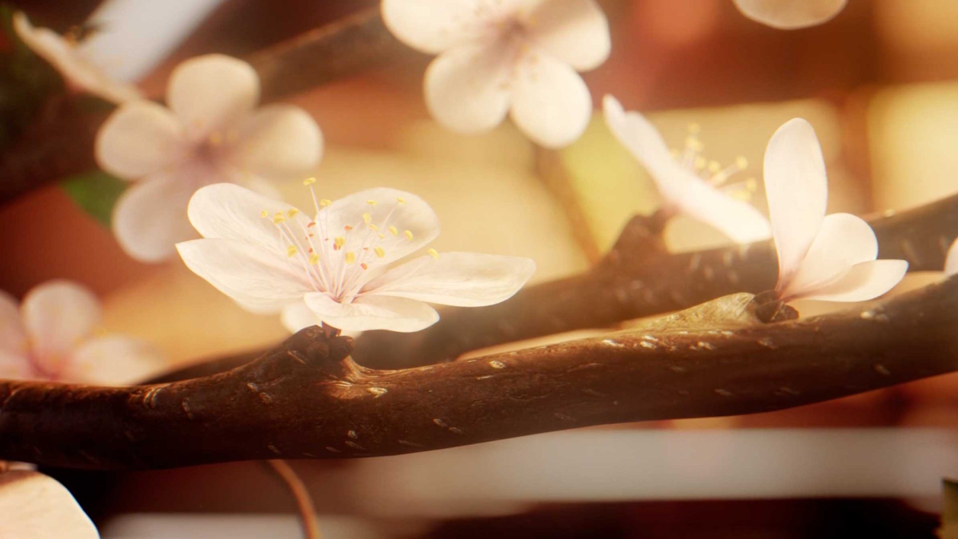 Starfleet Academy Main Titles by Picturemill | STASH MAGAZINE