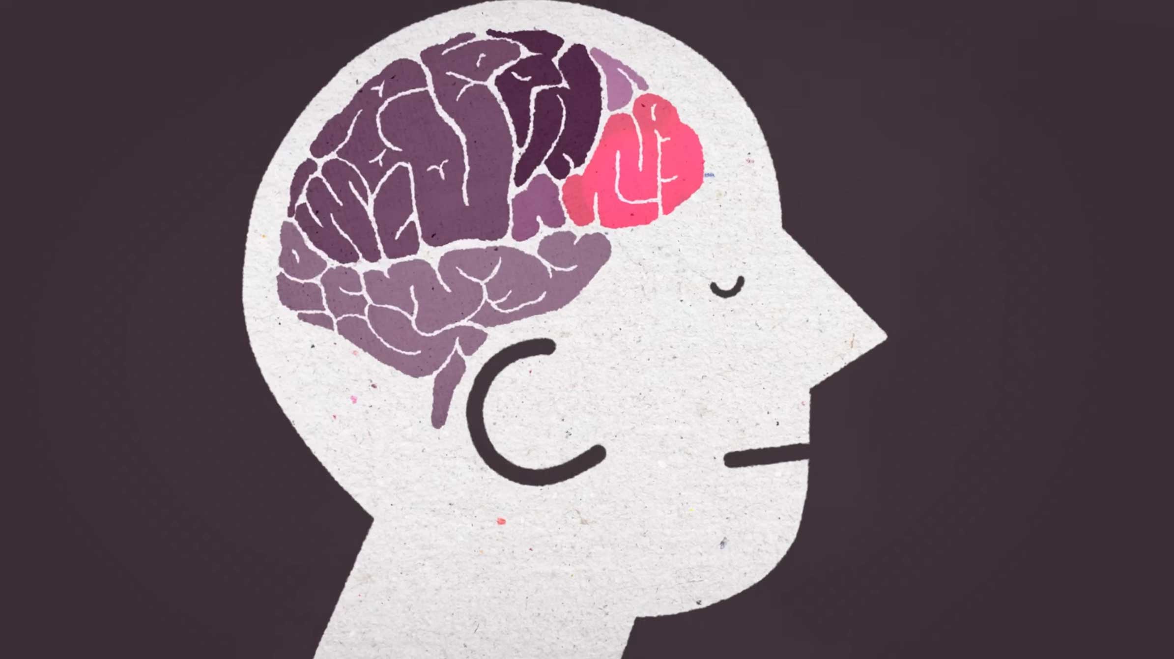 TED‑Ed What Happens to Your Brain Without Social Contact | STASH MAGAZINE
