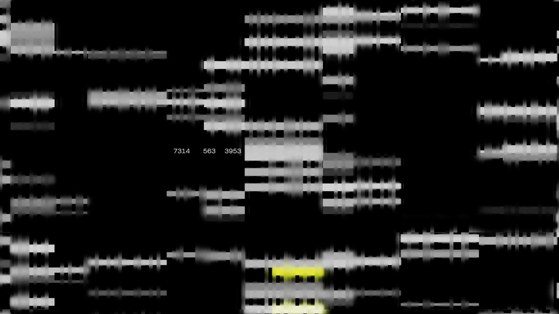 A digital abstract image by Found Studio features horizontal and vertical white and gray bars on a black background. Numbers “7314 563 3953” appear in the center, with some yellow-highlighted bars at the bottom. Frame from Stash Magazine article.