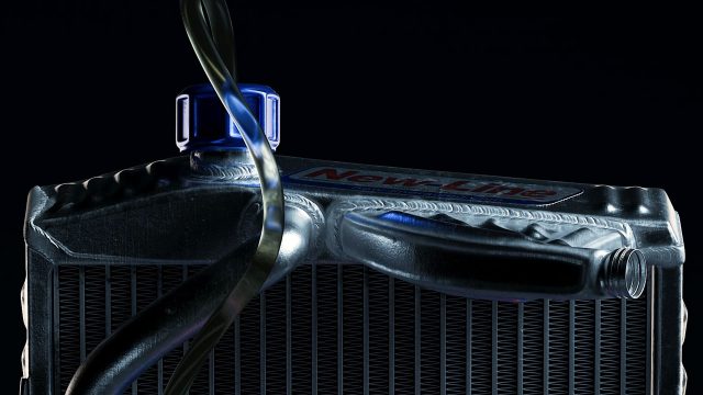 Radiating Beauty: Terence Ginja-Martinho Conjures Wonder From the Humble