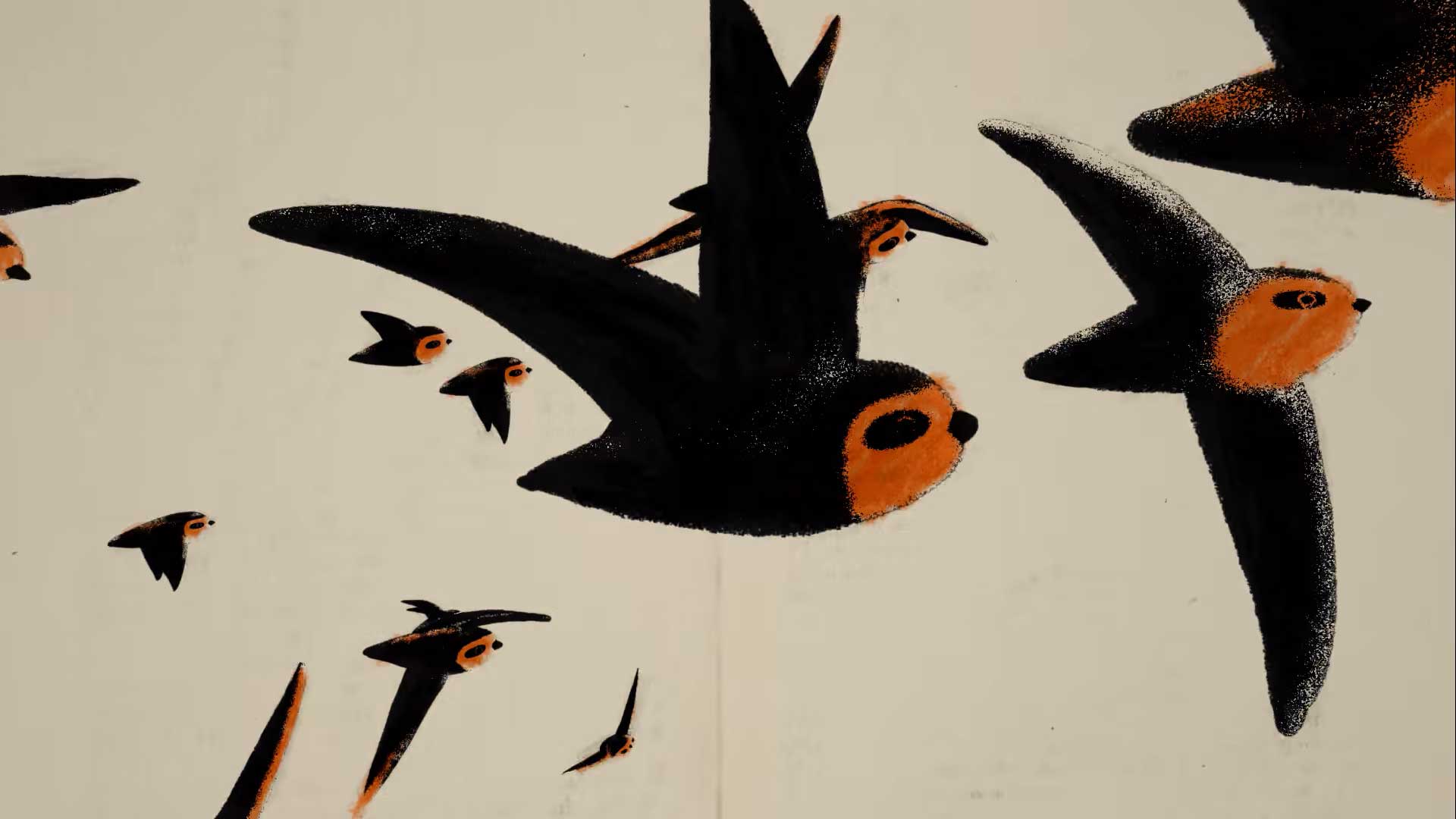 The Chimney Swift Short Film Frederic Schuld | STASH MAGAZINE