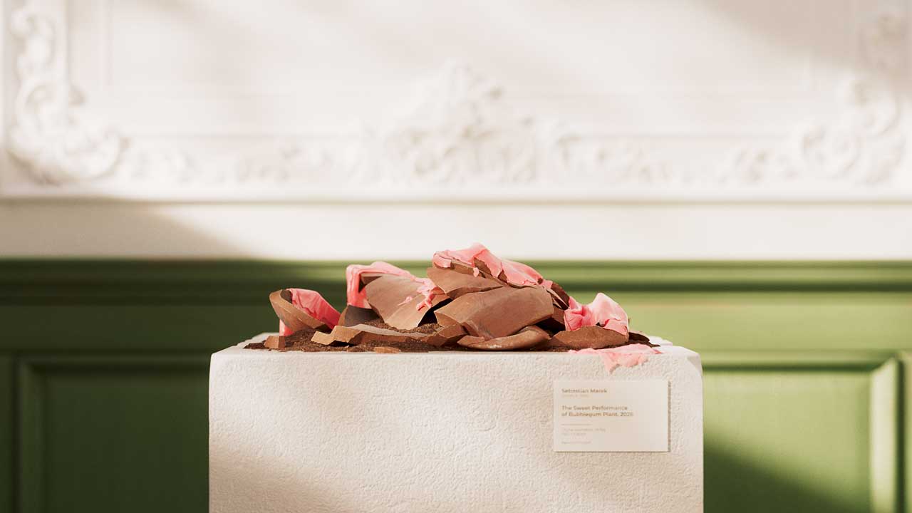 Broken chocolate pieces with pink filling rest on a white pedestal, placed in a room with green wainscoting and ornate white molding on the wall. A small label is attached to the pedestal, hinting at “Bubblegum Plant,” a whimsical touch reminiscent of scenes from a Sebastian Marek short film. Frame from Stash Magazine article.
