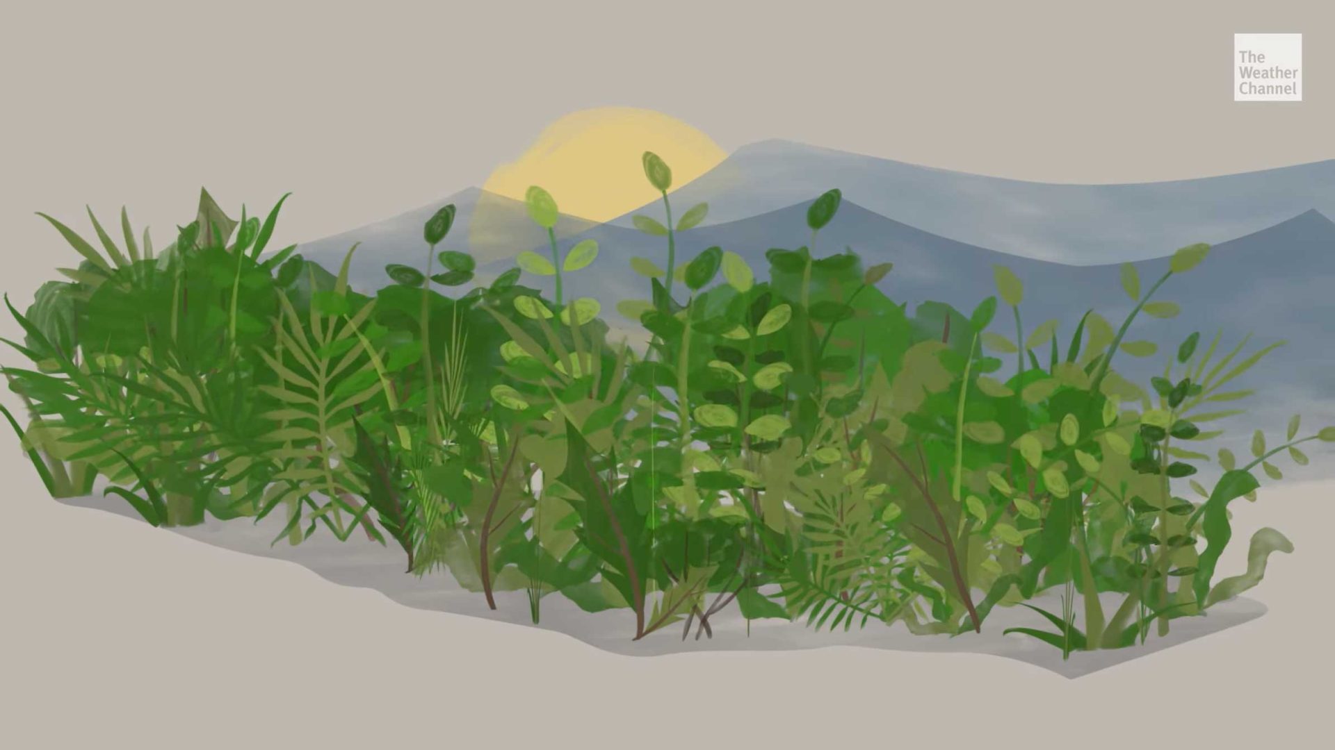 The Weather Channel One Spark Away 2025 LA Fire Explainer | STASH MAGAZINE