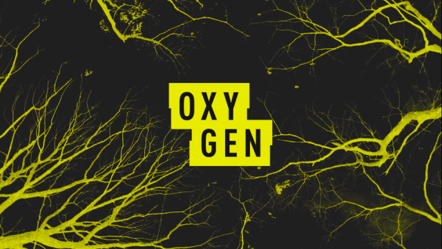 Rebranding Oxygen to All Crime All the Time