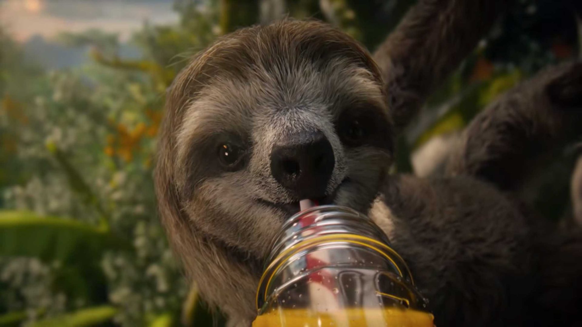 A close-up of a sloth drinking from a yellow plastic bottle with a straw, surrounded by lush green foliage in a jungle setting, captures an Untold moment worthy of Dorian & Daniel’s playful storytelling. Frame from Stash Magazine article.