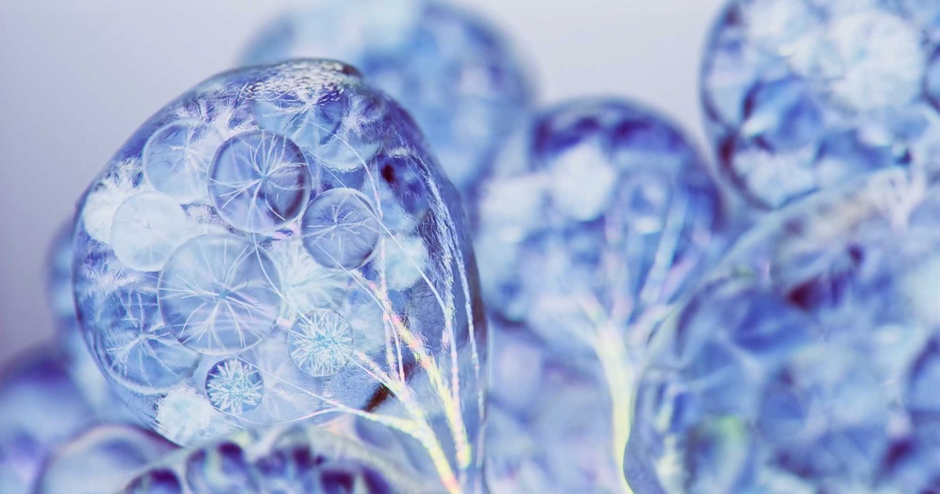 Macro shot of translucent blue, spherical forms containing delicate, lace-like circular patterns, reminiscent of the FutureDeluxe aesthetic. Frame from Stash Magazine article.