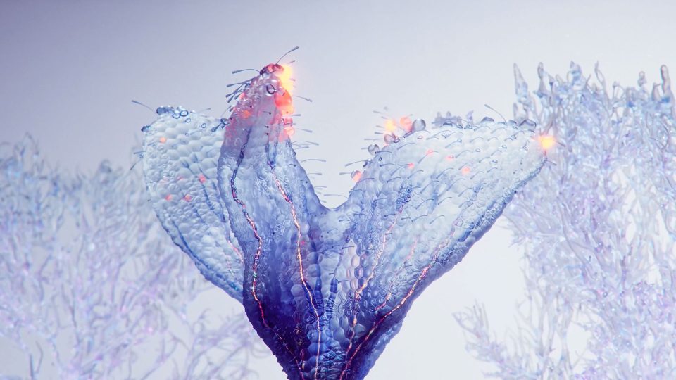 A translucent, bioluminescent, abstract plant-like structure with glowing orange tips, reminiscent of the FutureDeluxe Zooms Way Out aesthetic, set against a pale background. Frame from Stash Magazine article.