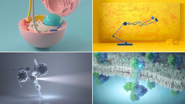 Vessel Studios Elevates the Art and Science of Medical Animation