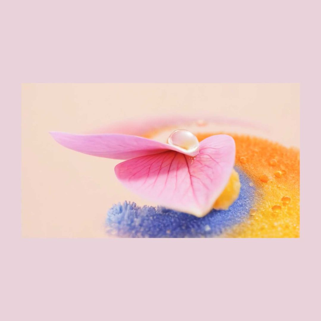 A pink flower petal with a water droplet rests on a colorful, textured surface blending yellow, blue, and orange hues—evoking the delicate atmosphere of Unfurl, a short film by Vitor Teixeira—against a soft beige background. Frame from Stash Magazine article.